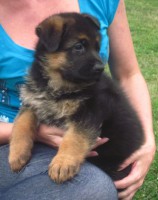 /album/a5-weeks/stenka-b-vrh-052-jpg/